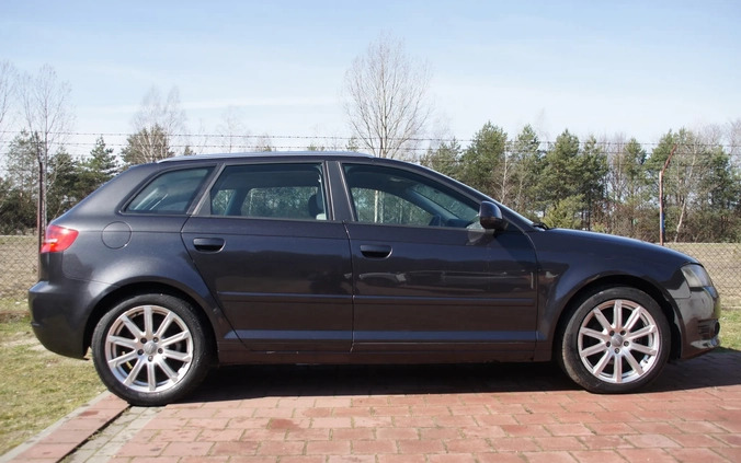 Audi A3 cena 26500 przebieg: 195803, rok produkcji 2009 z Połaniec małe 56